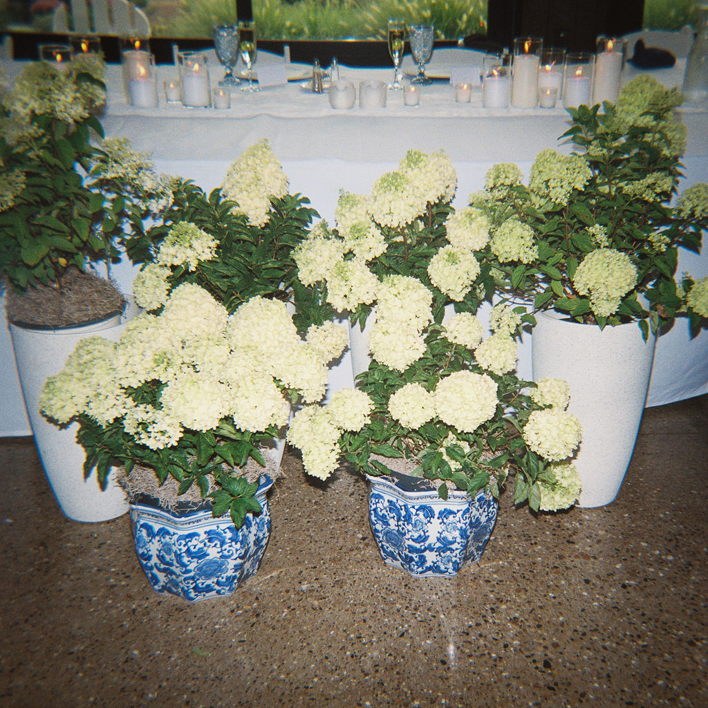 Outdoor ceremony at The Union Pavilion at Railside with soft romantic florals and greenery on film